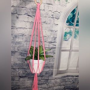 Pink plant hanger